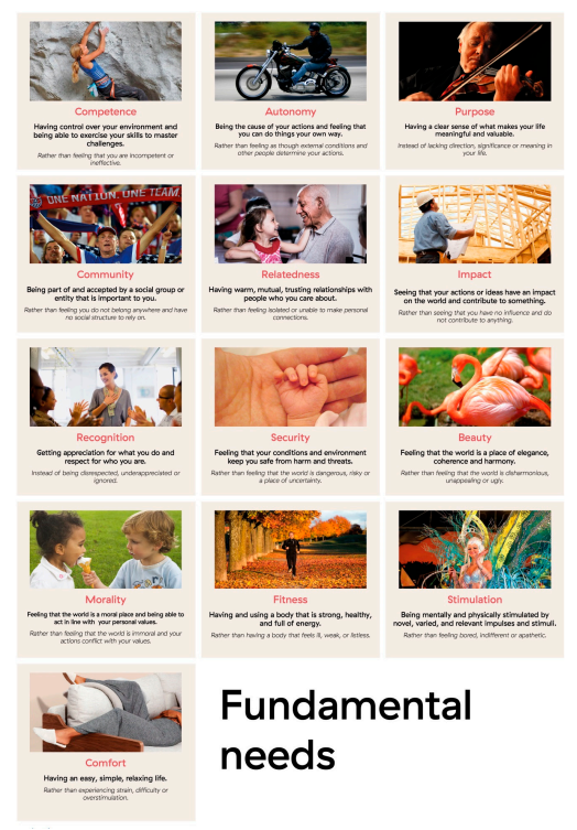 Fundamental_Needs
